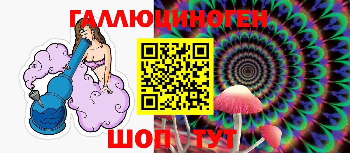 Псилоцибиновые грибы Cubensis Губаха